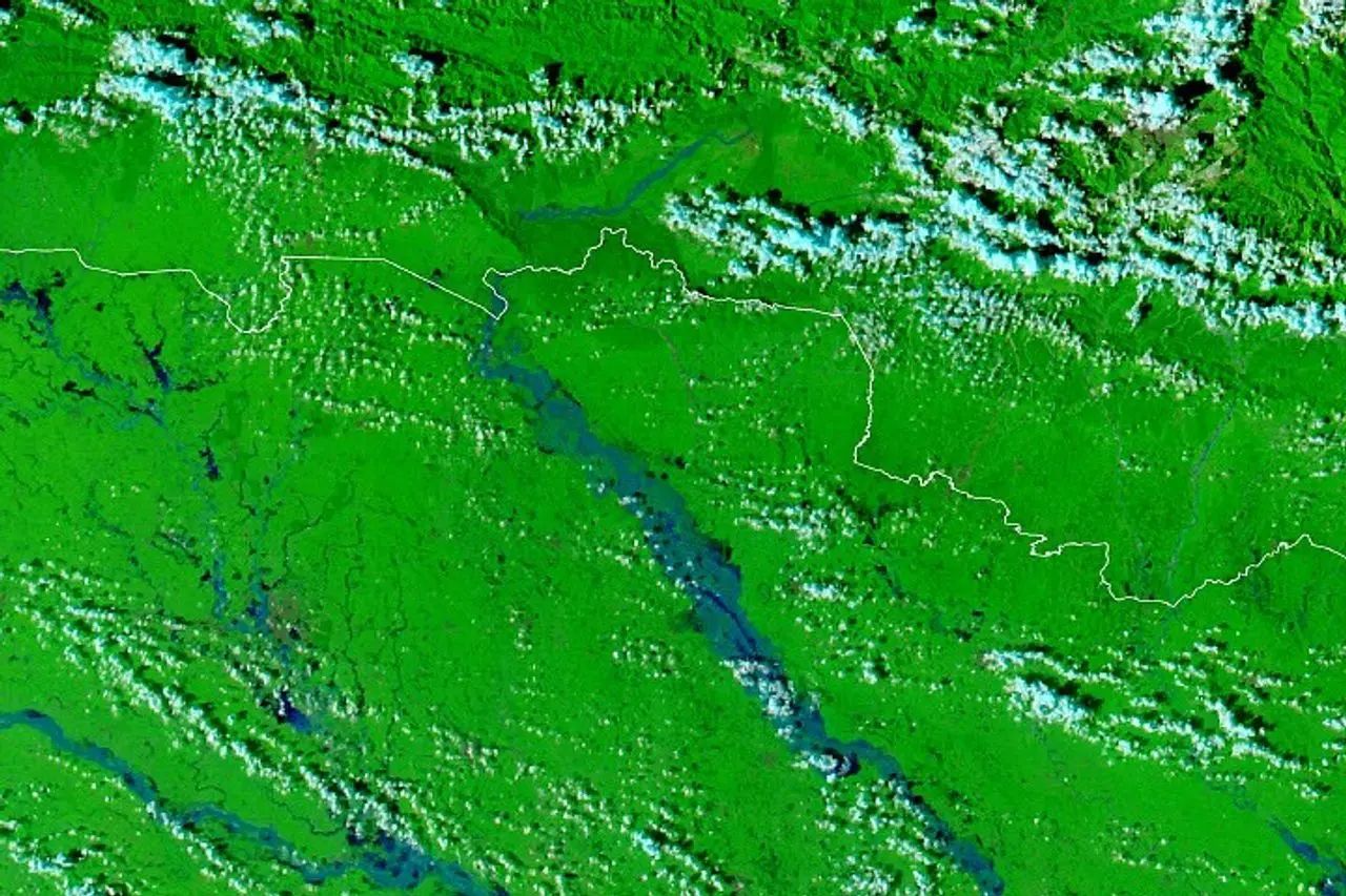 NASA kampaniyasi o'rmon yong'inlari keltirib chiqargan bulutlarni o'rganmoqda